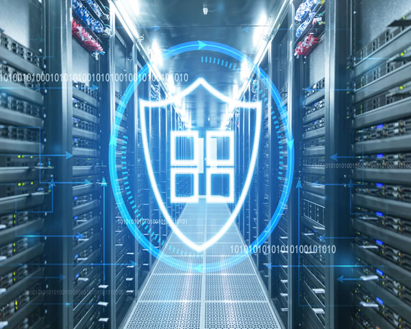 Five Key Factors To Pay Attention To When Buying A Japanese Server